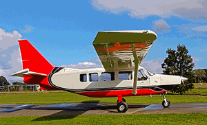 The turbocharged GA8 TC-320 in the Alligator Airways livery. (GippsAero)